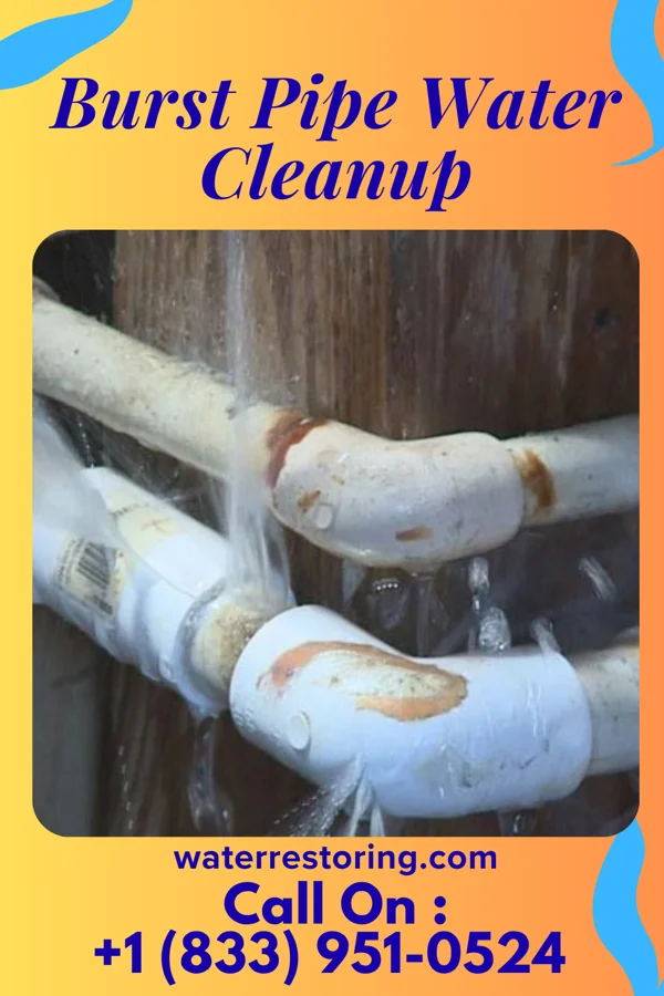 Burst Pipe Water Cleanup in Jersey City, NJ