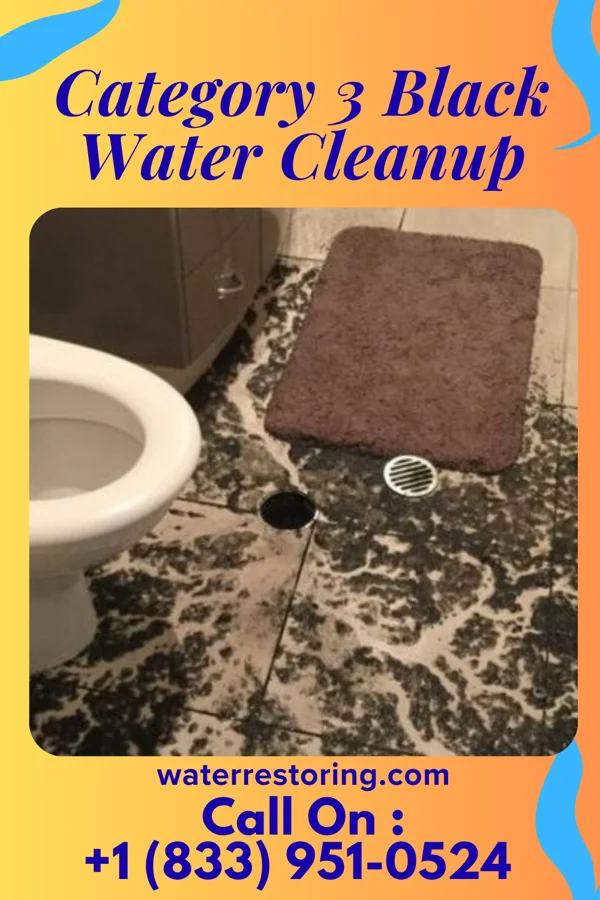 Category 3 Black Water Cleanup in Jersey City, NJ