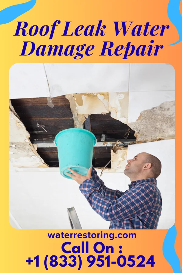 Roof Leak Water Damage Repair in Jersey City, NJ