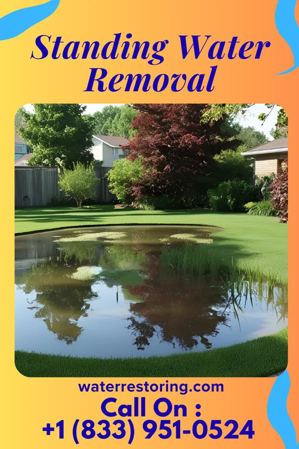 Standing Water Removal in Jersey City, NJ